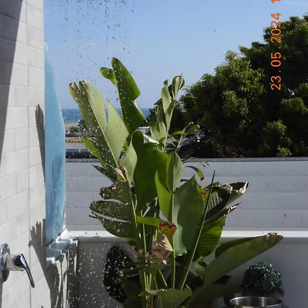 Daire Aba Penthouse, Piscina&azotea Privada Conil De La Frontera